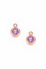 February birthstone charms for sleeper earrings in 9ct rose gold