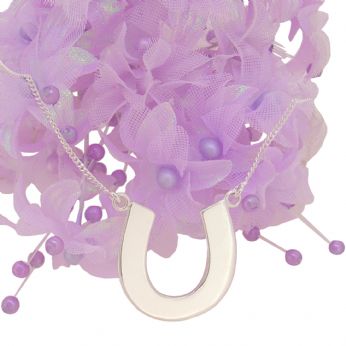 STERLING SILVER 20mm LUCKY HORSESHOE CHARM NECKLACE
