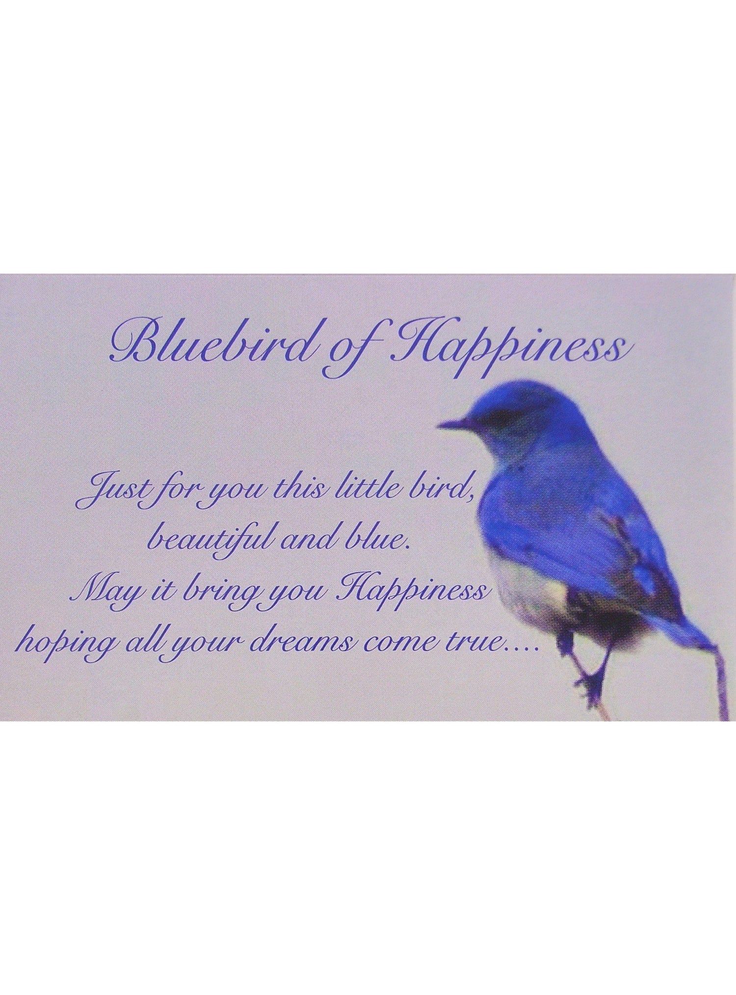 Bluebird Heart Charm Stud Earrings in Sterling Silver