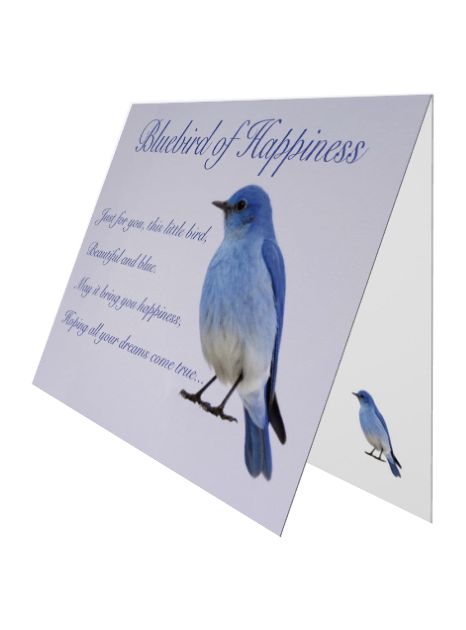 Greeting Gift Card Folded Bluebird of Happiness