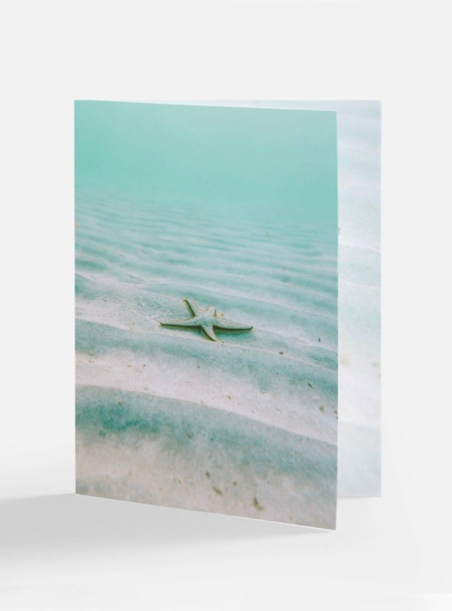 Ocean Starfish Greeting Gift Card