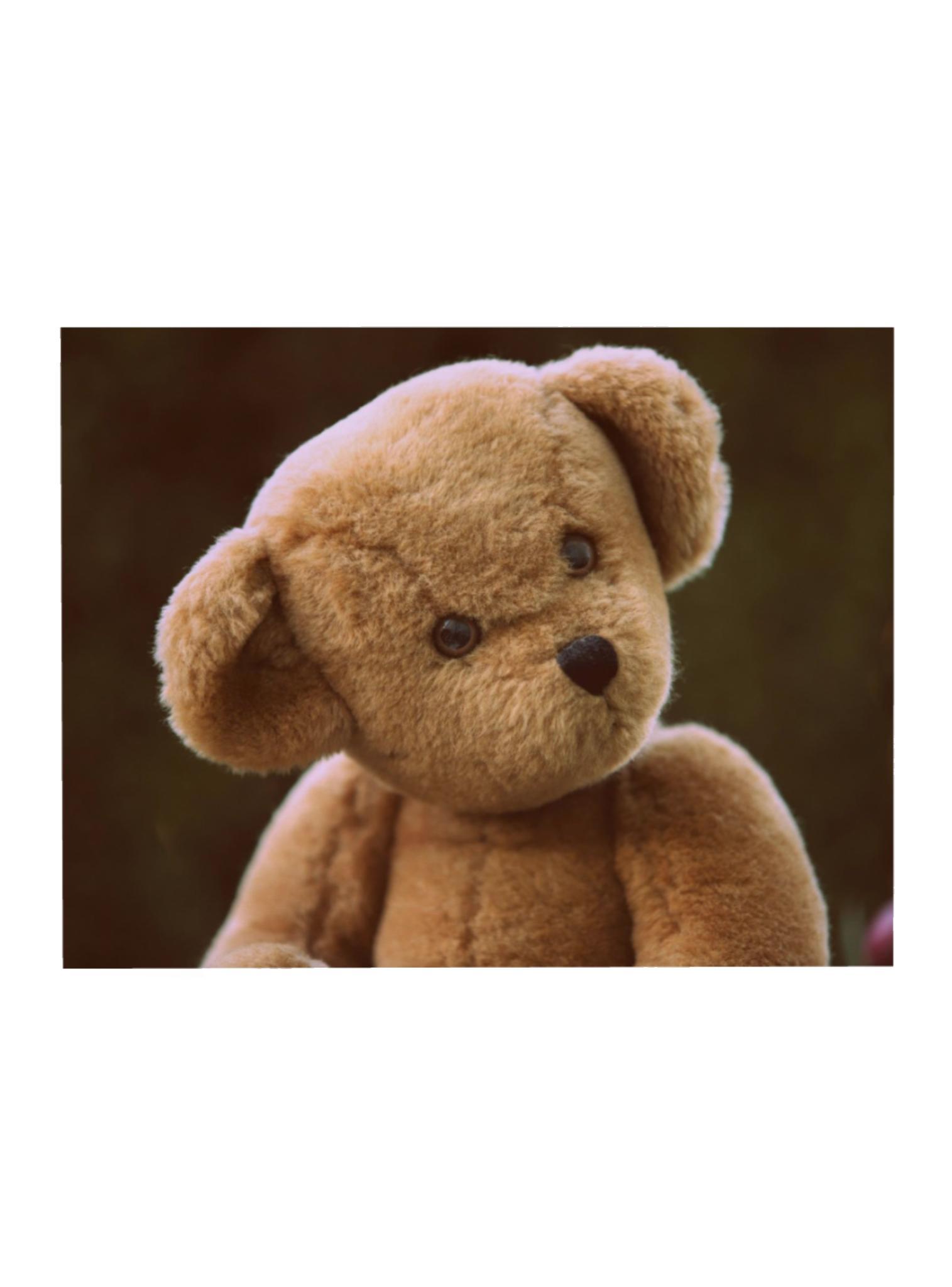 Teddy Bear Gift Card