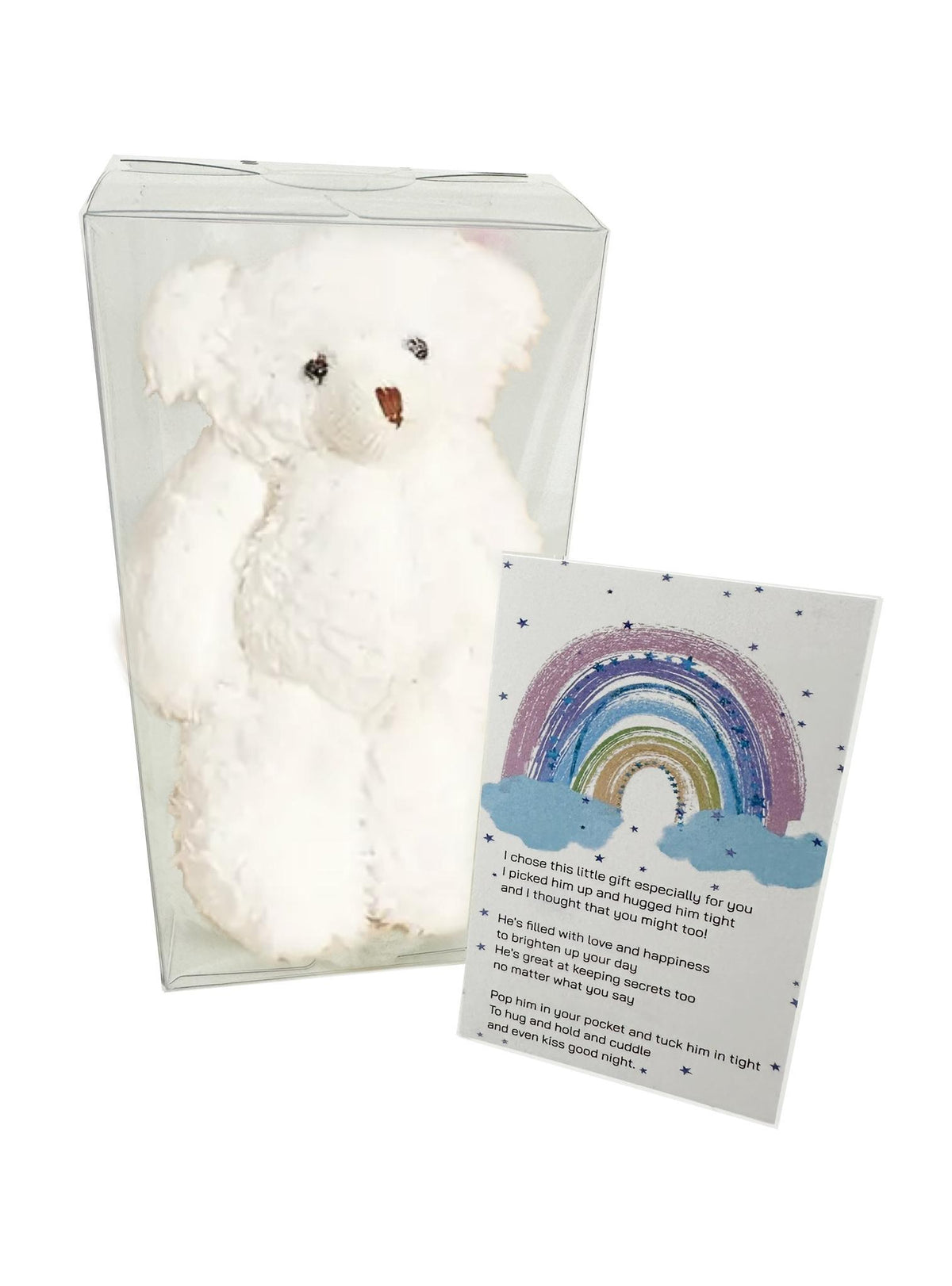 Cuddly Teddy Bear Pocket Hug Gift in White