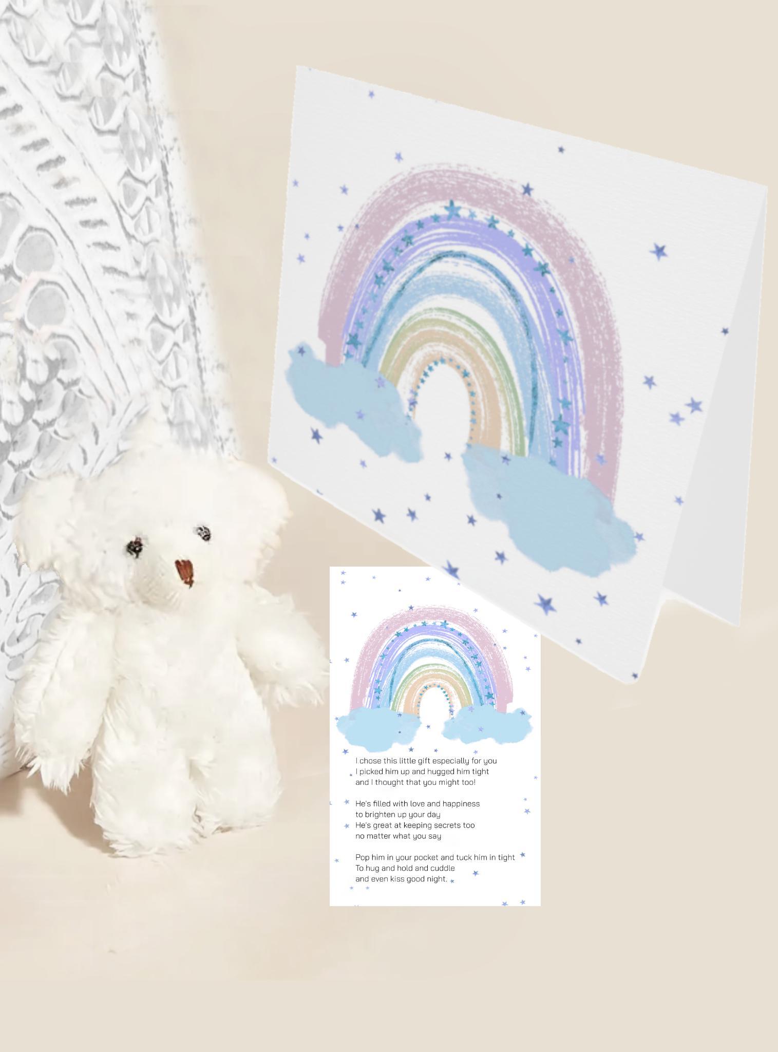 Cuddly Teddy Bear Pocket Hug Gift in White
