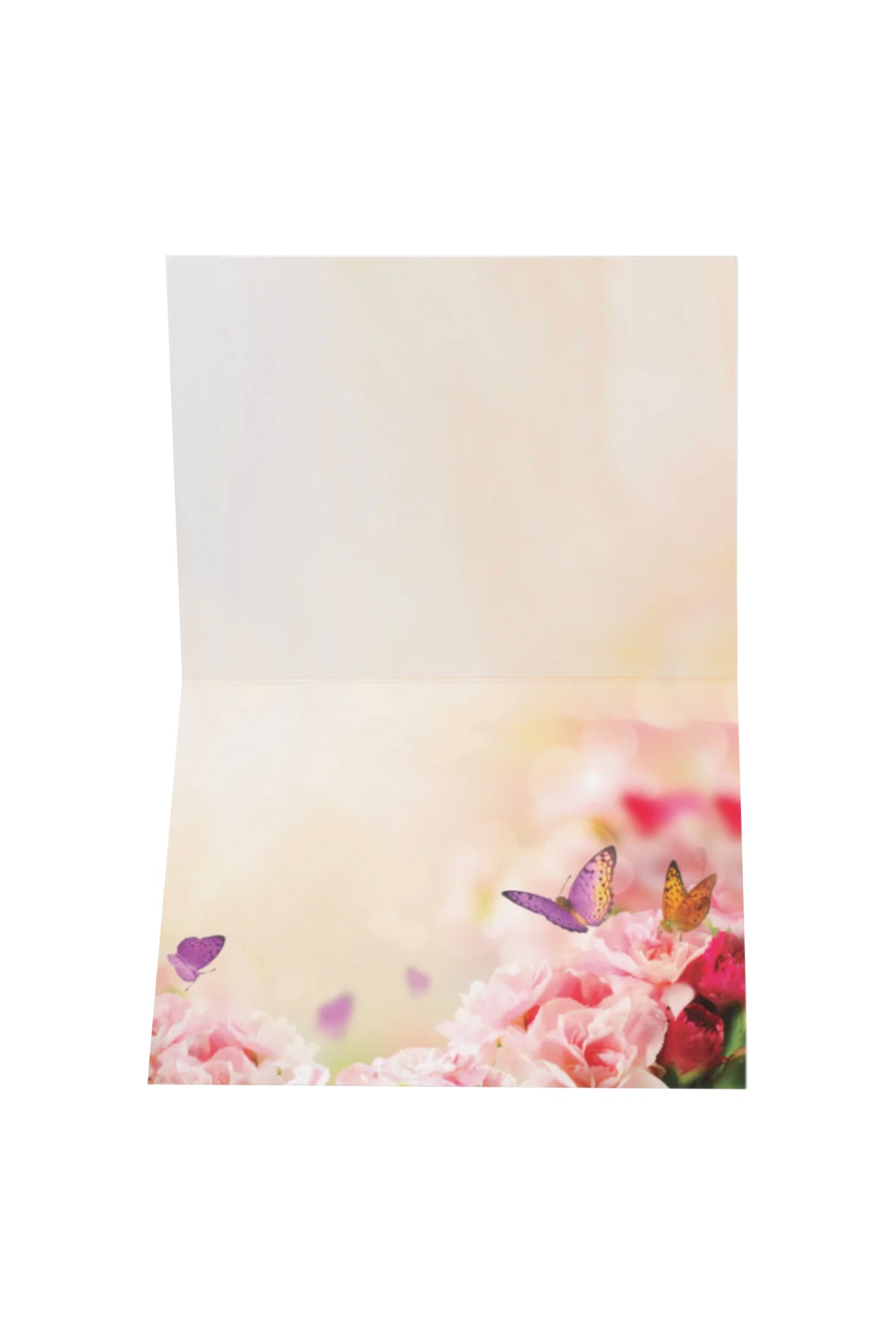 Greeting Gift Card Folded Caterpillar Butterfly