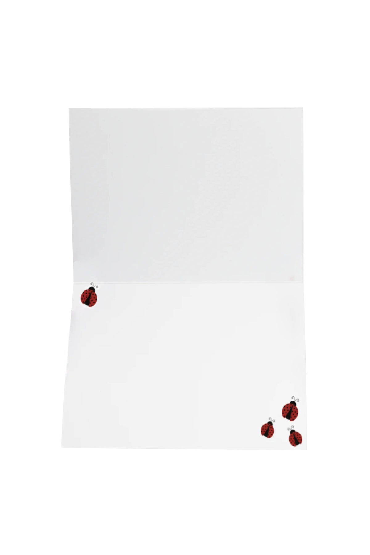 Greeting Gift Card Folded Ladybug Wishes