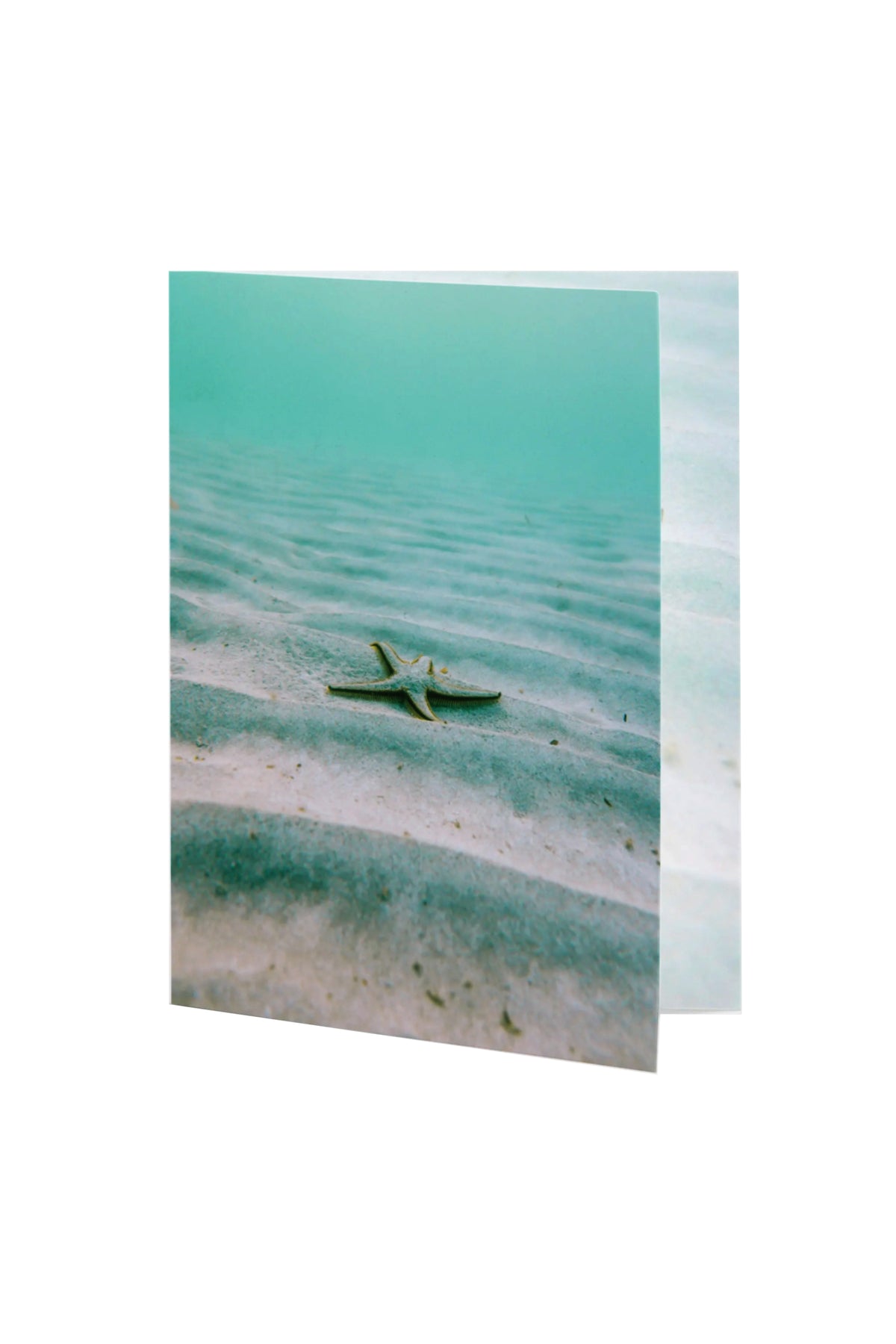 Ocean Starfish Greeting Gift Card
