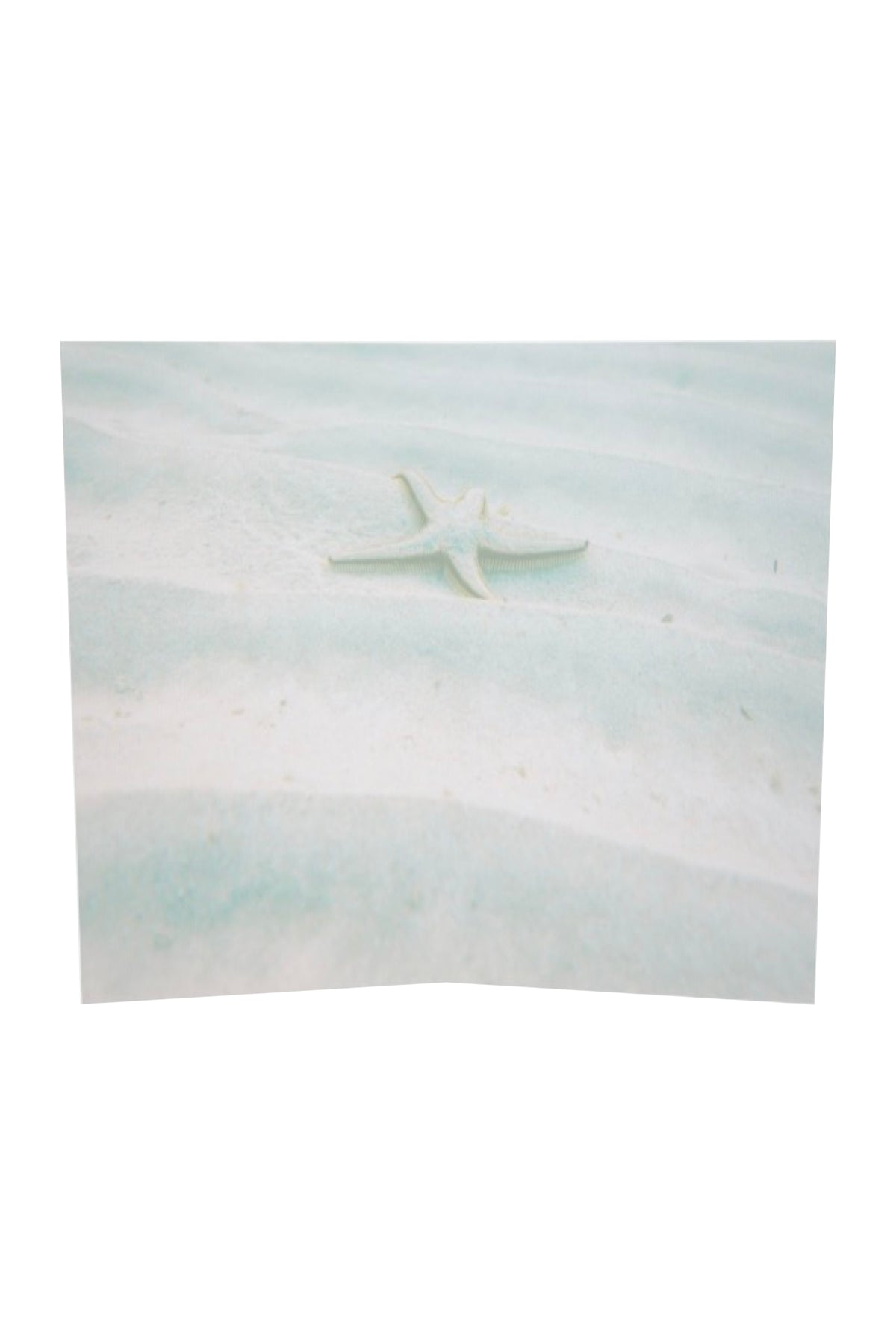 Ocean Starfish Greeting Gift Card