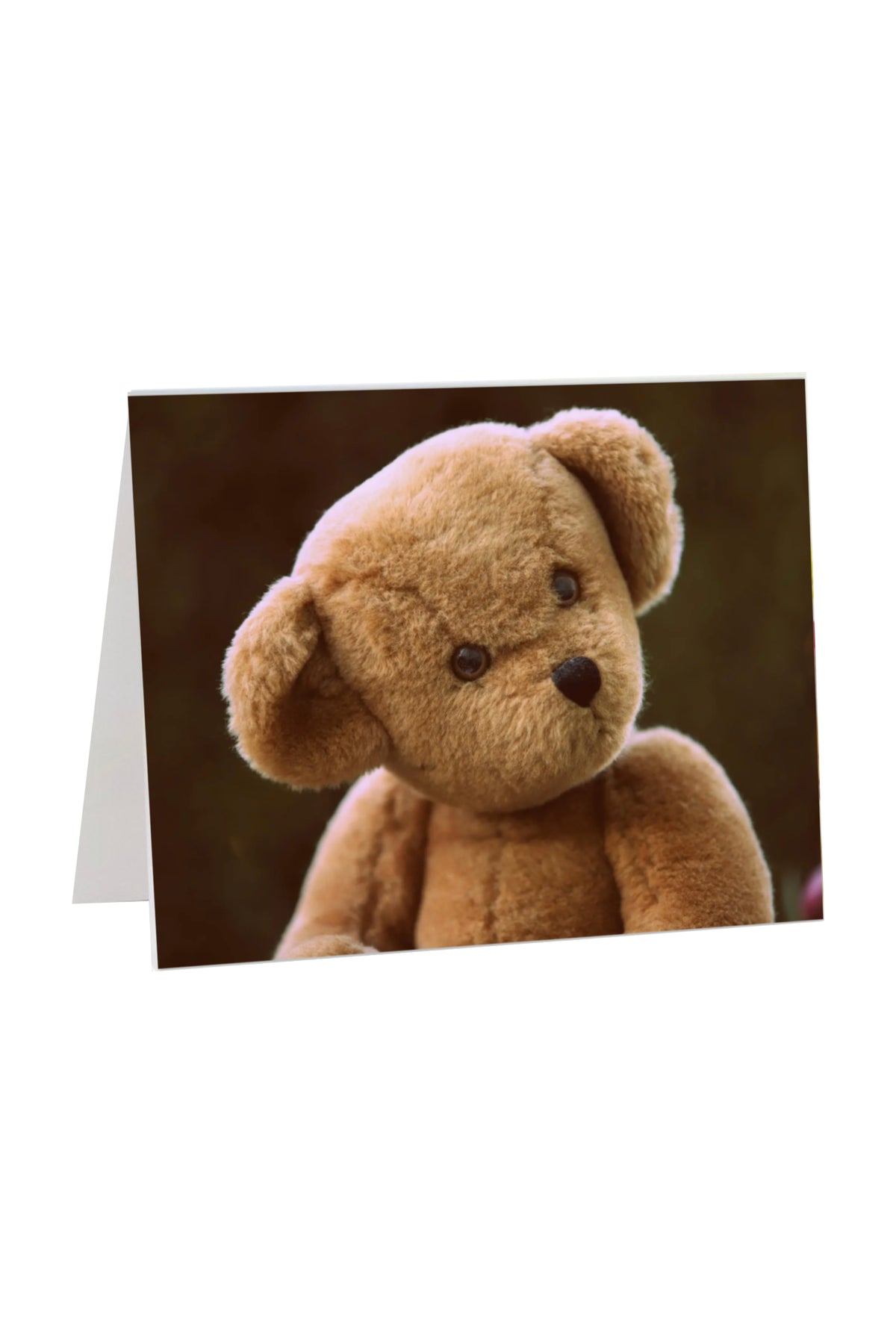 Teddy Bear Gift Card