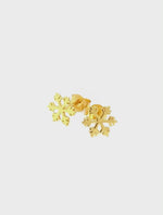 Product video — Vimeo 375809818