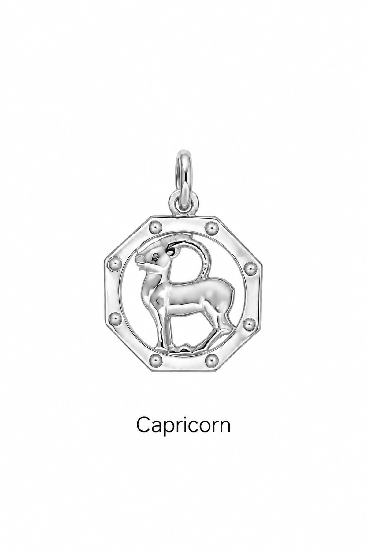 Capricorn zodiac charm in sterling silver
